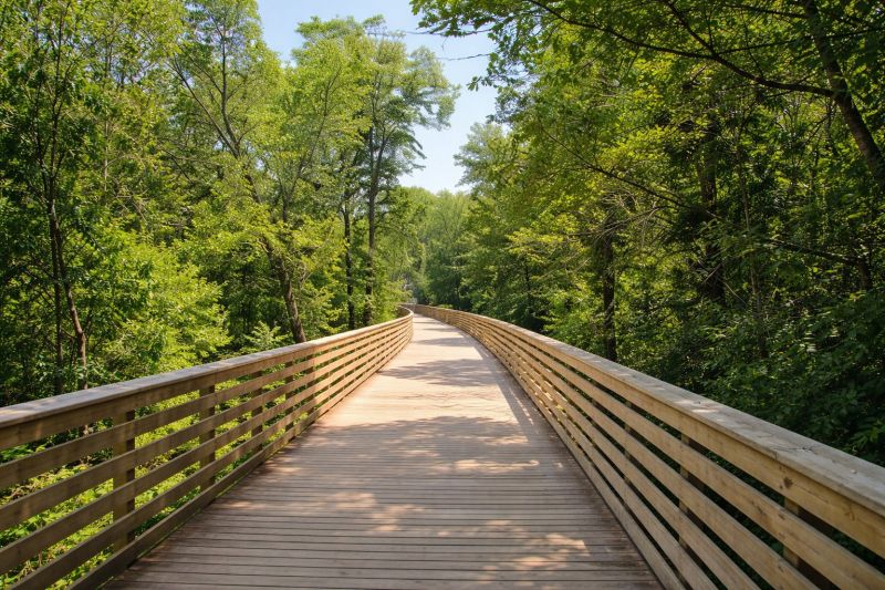 Outdoor Walkway Construction
