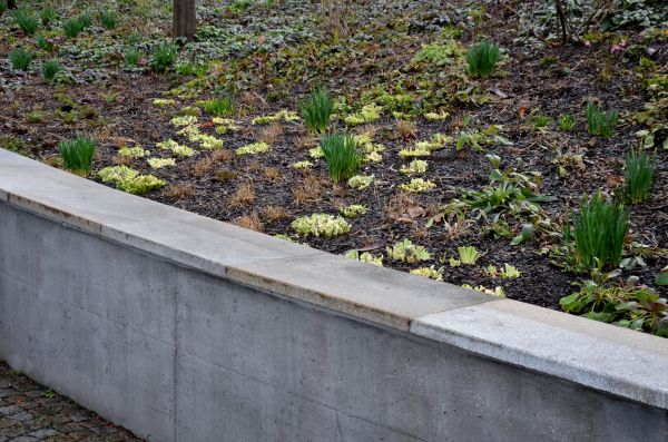 Concrete Wall Construction in Allen