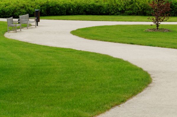 Sidewalk Concrete Service in Allen
