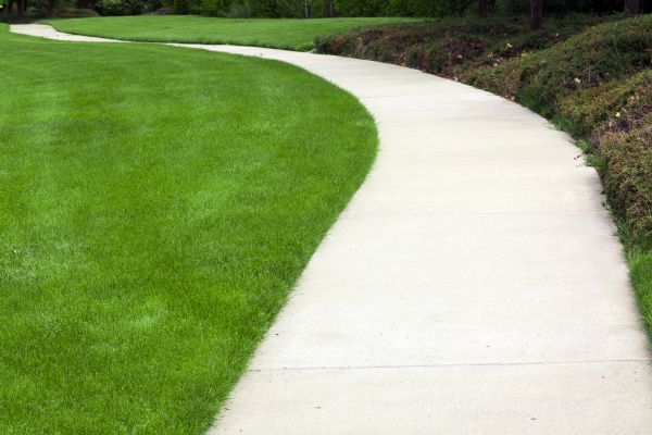 Cost of Pathway Construction in Allen