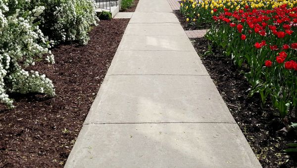 Cement Sidewalk Installation in Allen