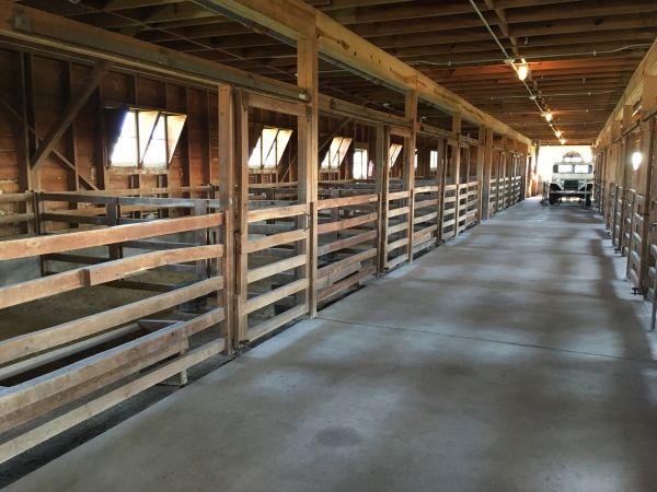 Barn Slab Construction in Allen