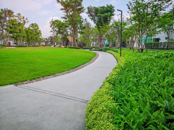 Cement Walkway Service in Allen