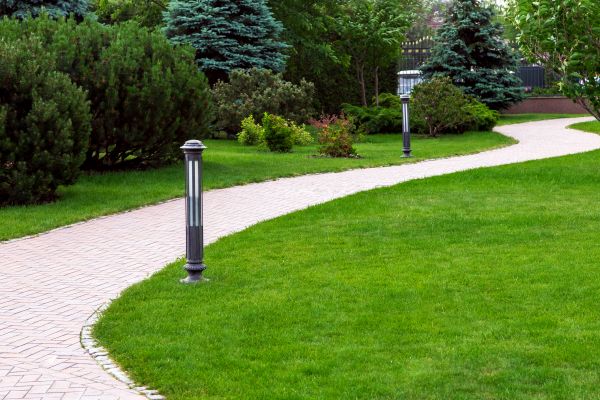 Backyard Sidewalk Installation in Allen