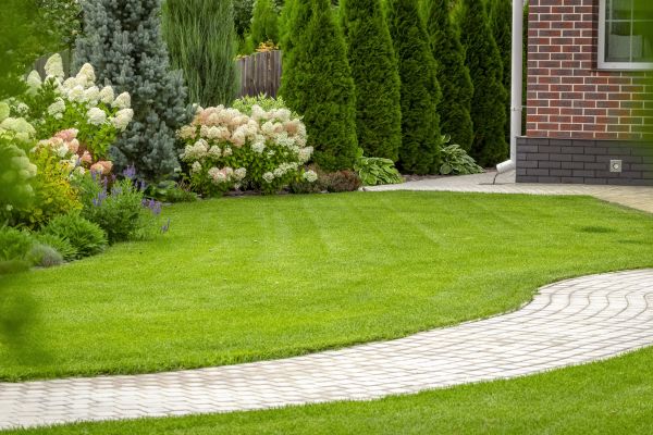 Landscape Walkway Installation in Allen